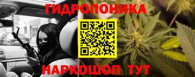 шишки Чебоксары