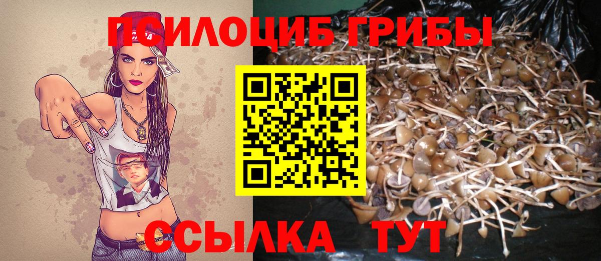 Псилоцибиновые грибы Psilocybine cubensis Лысьва